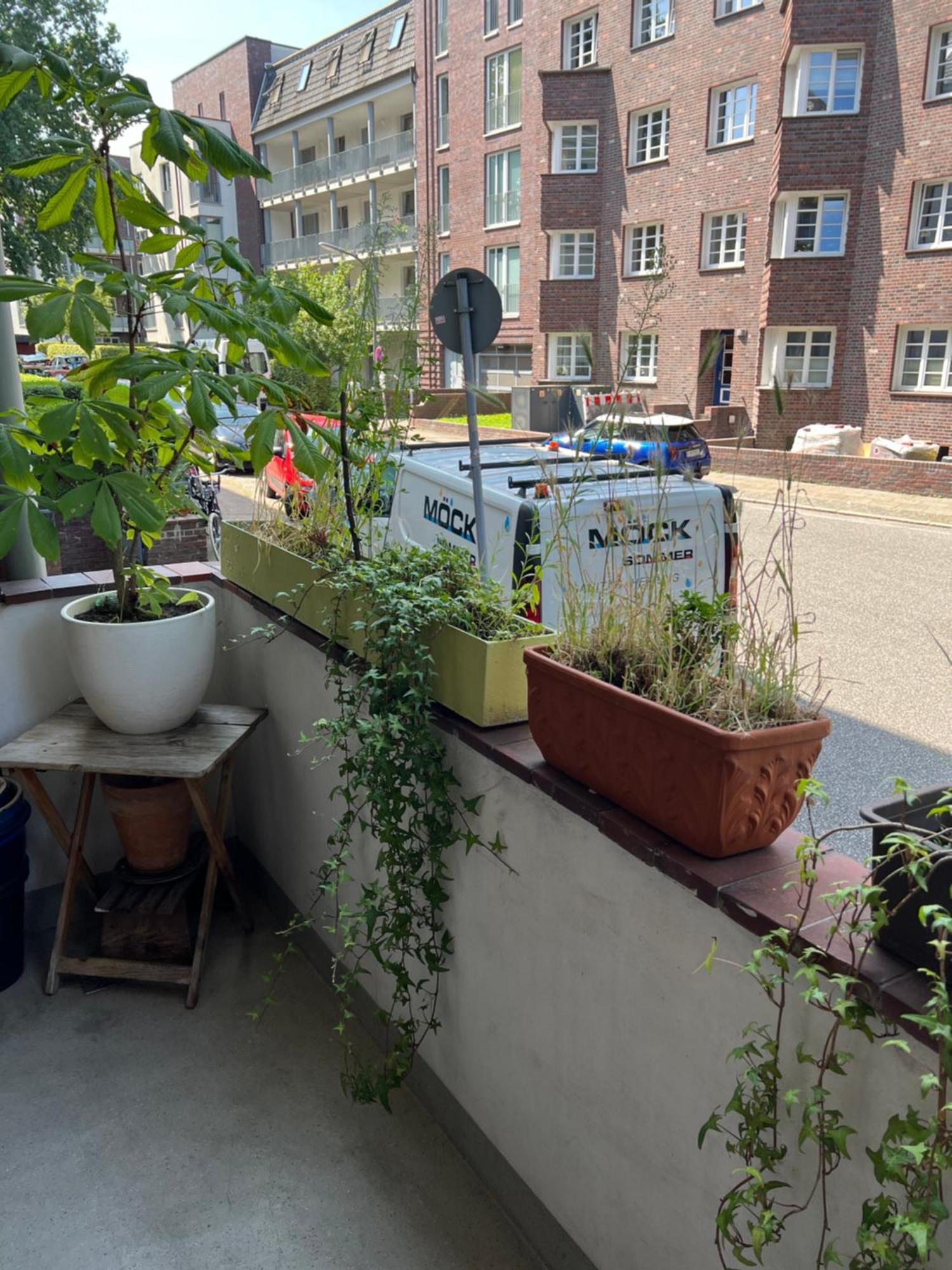 Проживание в семье Zwischen Stadtpark Und Alsterlauf Budget *